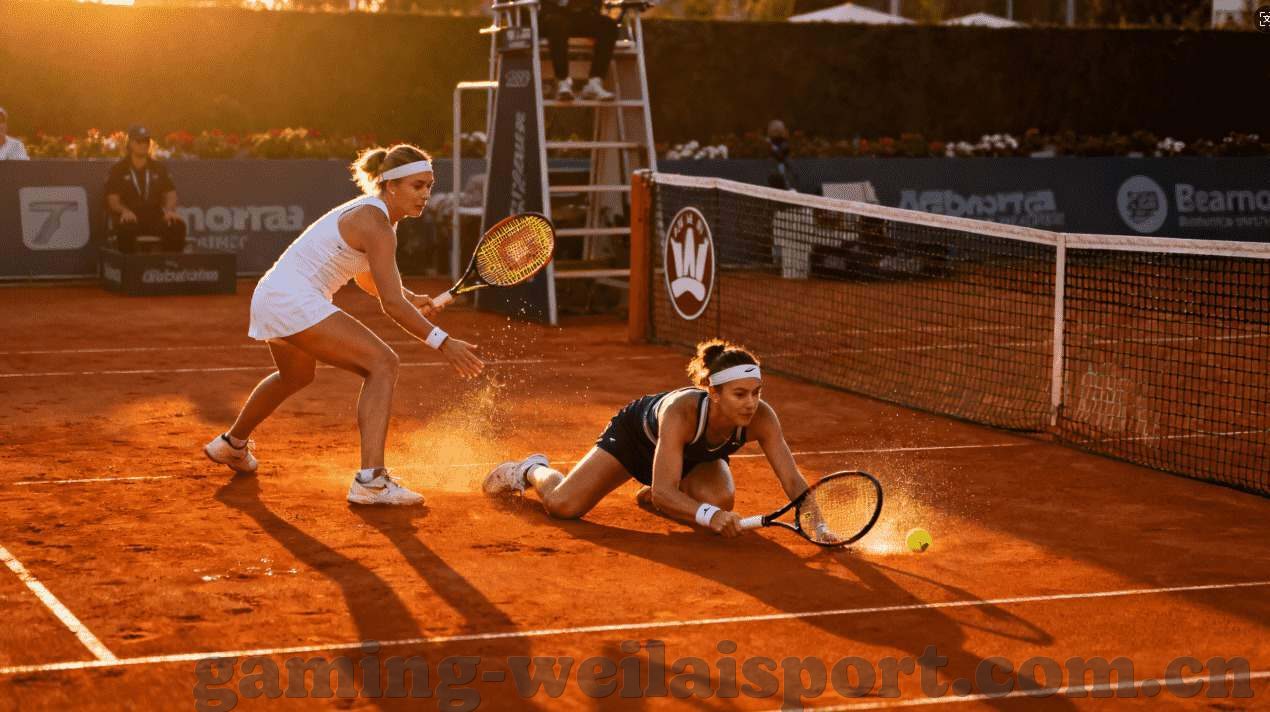 世界杯竞猜网易彩票-世界杯竞猜网易彩票，激情与智慧的碰撞